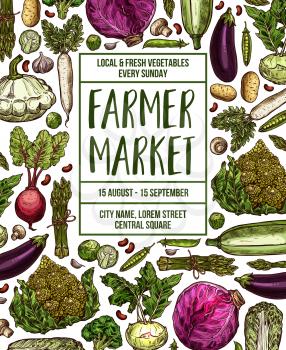 Vegetables farmer market sketch poster. Vector design template of fresh veggies and natural farm organic radish or cauliflower and broccoli cabbage, zucchini squash or cucumber and carrot or tomato
