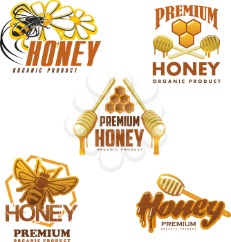 Honey organic beekeeping farm product icons templates. Vector isolated set of bee on flower blossom and honey in jars, honeycomb and dipper spoon with honey splash drops for packaging label design