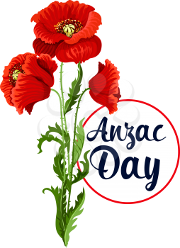 Anzac Day poppy bunch icon for war commemorative day of Australia and New Zealand soldiers and veterans. Vector red flowers symbol for freedom and peace war remembrance on Australian Anzac Day