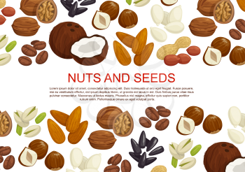 Nuts and seeds or fruit kernels poster of almond, pistachio or pumpkin and sunflower seeds, filbert nut or peanut and walnut, coconut or hazelnut and legume beans. Vector information design template