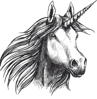 Unicorn head sketch icon of fairy tale mystic horse with magic horn. Vector unicorn horse muzzle with waving mane for equine sport or equestrian races and contest exhibition design