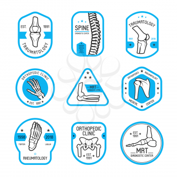 Traumatology, rheumatology and orthopedic clinic label with human skeleton bone and joint. Hand, leg, spine and knee, elbow, shoulder, pelvis and foot badge for hospital and diagnostic center design