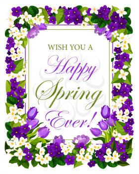 Happy Spring quote floral poster of garden blooming flowers for springtime season. Vector design of blue crocuses and tulips and violets bunch for spring holiday greeting card