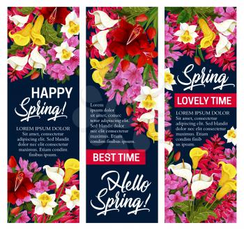 Hello Spring floral banner for Springtime season holiday. White, pink and yellow flower of daffodil, tulip and azalea, iris, calla lily and freesia with green leaf and blooming garden plant branch