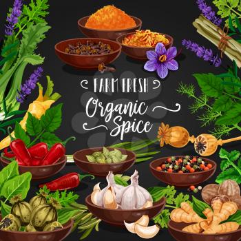 Seasoning herbs and spices or condiments poster. Rosemary and thyme, basil, dill and parsley, and poppy, curry and lavender or mint, cinnamon, red chilli pepper, ginger and garlic, gooseberry vector