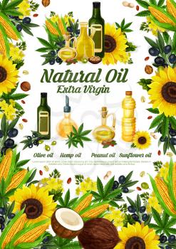 Oil of natural products poster with olive and hemp, sunflower and peanut. Healthy food, liquid of plants for seasoning in bottles or jug. Corn and coconut, pistachio and walnut, rapeseed vector