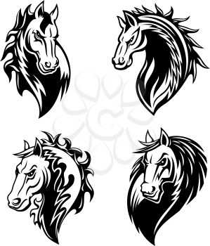 Horse or mustang animal isolated icons for tribal tattoo and equestrian sport mascot design. Black and white stallion or mare horse head with angry muzzle and curly mane symbols