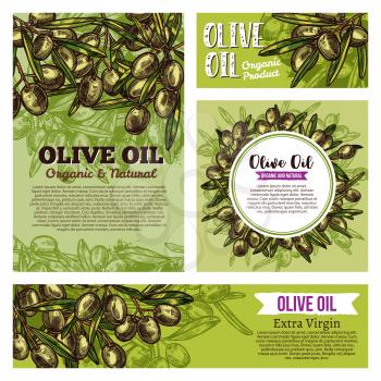 Olive oil sketch banners with green olive fruits frame border. Extra virgin oil bottle and food packaging labels with olive tree branches for mediterranean cuisine and vegetarian nutrition design