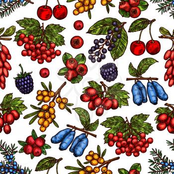 Berries and berry fruits sketch pattern background of fresh forest or garden berry harvest. Vector seamless pattern of blueberry, blackberry or strawberry, raspberry and gooseberry or buckthorn