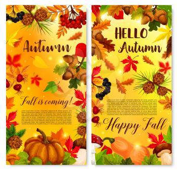 Hello Autumn posters of forest nature harvest of pumpkin, rowan berry and acorns, falling leaves of maple, oak or poplar tree. Vector mushroom, pine or fir cone for Fall coming autumn seasonal design