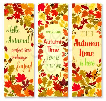 Autumn season and fall nature banner set. Orange and yellow leaves of maple, chestnut and oak, red foliage of forest tree, brown acorn and rowan berry frame for autumn holiday greeting card design