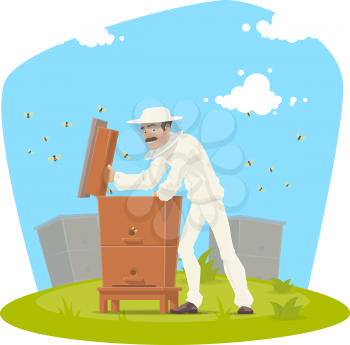 Beekeeper at beekeeping farm icon. Apiarist in protective suit and hat opened beehive to inspect frames with honeycomb and honey bee colony cartoon poster for apiculture and apiary themes design