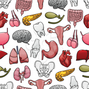 Human organs, bones and joints seamless pattern background. Heart, brain and lungs, kidney, liver and intestines, pelvis, knee and tooth, uterus, testicles and pancreas. Medical anatomy vector design