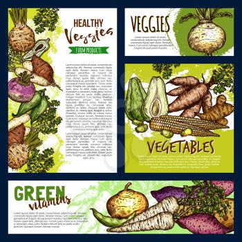 Vegetables and veggies sketch banners. Vector farmer agriculture food potato, radish or turnip and beans, natural jicama and organic cassava manioc with beetroot