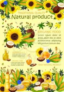Vegetable oils cooking poster, organic natural food. Vector sunflower, coconut or avocado and hemp seed or hazelnut, quality olive oil in bottles and pitcher jars