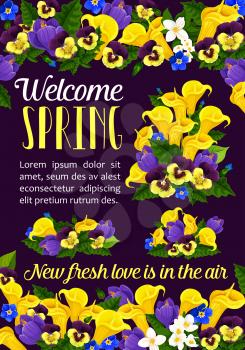 Welcome Spring Season floral banner with springtime flower bouquet. Crocus, pansy and calla lily, blooming jasmine branch and green leaf of garden plant for greeting card or festive poster design