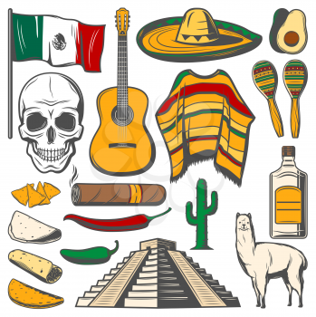 Cinco de Mayo fiesta celebration icons of tequila, jalapeno pepper or cactus and sombrero. Vector traditional Cinco de Mayo Mexican holiday burrito and skull or lama poncho for Mexico 5 May festival