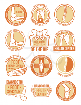 Medical clinic or health center icon for orthopedic and rheumatology medicine design. Joint and bone anatomical badge with knee, spine and pelvis, shoulder, foot and elbow for radiology center design