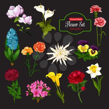 Flower icon of spring flowering plant. Daffodil, calla lily and peony, hyacinth, pansy and phlox, dahlia, aster and magnolia branch with green leaf for floral decoration of greeting card design