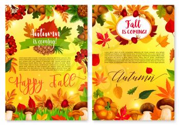 Autumn is coming seasonal fall greeting card or poster of falling leaves, pumpkin and forest mushroom or rowan berry harvest. Happy Fall maple leaf, autumn oak acorn or pine and fir cone vector design