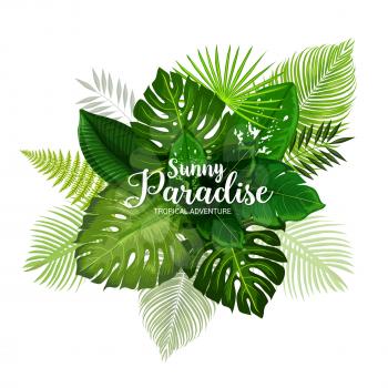 Summer tropical adventure poster with green leaf of palm. Exotic tree and plant foliage banner for hawaiian vacation or paradise holidays beach party design with fern, monstera, fan and areca palm