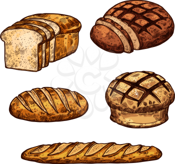 Bread sketch icons for bakery shop or baked products Vector isolated set of wheat loaf and rye bagel or croissant baguette, baked fresh pie or cereal pastry for breakfast or baker recipe design