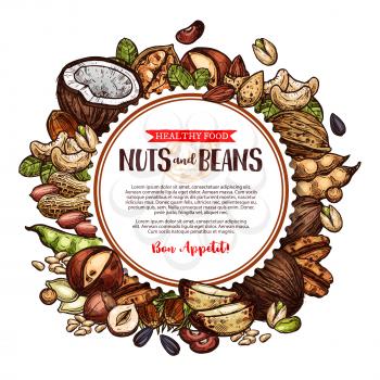 Nuts and beans sketch poster of locally grown fresh and tasty organic farm coconut, peanuts, pistachios and walnuts. Vector nuts harvest of sunflower seeds, cashews or almonds and filbert nut