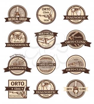 Set of vector icons for orto clinic or clinical group. Concept of human biology, bones and articulation. Anatomy badges for diagnostic clinic with backbone and hand bone, isolated on white background