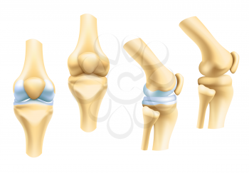 Human joints vector icons for orthopedics and surgery medical design. Vector isolated icons of leg knee or arm and hand joints with cartilage synovial fluid for orthopedics treatment medicine pills