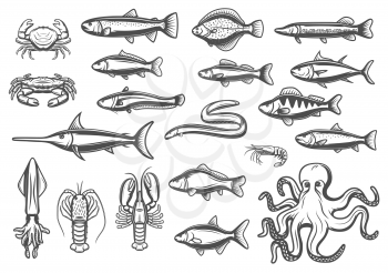 Fish and marine animal or seafood sketch line icons. Vector isolated set of lobster crab, octopus and prawn shrimp, eel or pike and ocean mackerel with herring or flounder and trout for fishing