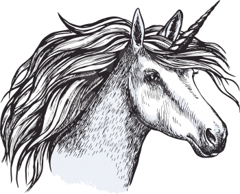 Unicorn head sketch of magic horse with horn. Fairytale or mythical animal with gray fur and curly mane for tattoo, medieval heraldic badge or t-shirt print design