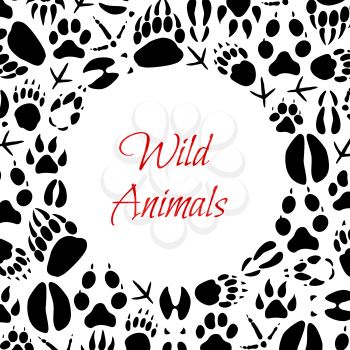 Animals and birds footprints poster for zoo or hunt design. Vector paw tracks of wild bear, fox or wolf and hare, boar or elk and deer hoof imprints or crow and sparrow claws