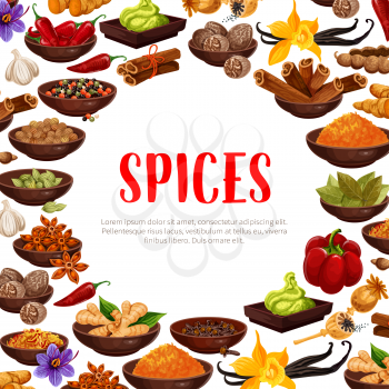 Spices poster of herbal seasonings. Vector design of chili pepper, vanilla or cinnamon and cardamom, cloves seeds or curry, ginger and anise or turmeric curcuma and saffron or vanilla and nutmeg