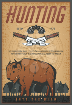 Hunting sport old grunge banner with wild bison animal. Brown buffalo or ox bull retro poster with hunter knife, binoculars and vintage compass rose for hunt animal open season design