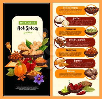 Spice shop poster of hot condiment and seasoning template. Pepper, cinnamon and garlic, star anise, nutmeg and cardamom, ginger, saffron and turmeric food ingredient banner for farm market design
