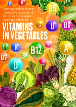 Vegetable source of vitamin poster, healthy nutrition and diet food themes design. Fresh cabbage, broccoli and zucchini, corn, asparagus and radish, lettuce salad and spice herb with vitamin pill