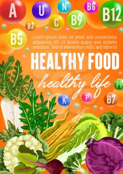 Cabbage, broccoli and asparagus, corn, radish and green arugula, cauliflower and beet, vitamin and mineral. Healthy vegetarian food, vegetable, spice, herbs and vitamins