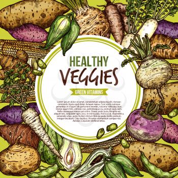 Vegetables and farm veggies sketch, egetarian healthy food. Vector natural vegan organic potato, radish or turnip and legume bread beans with jicama and cassara tuber