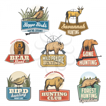 Animals and birds hunting sport icons, open season or hunter safari adventure. Vector set of rifle gun target and pheasant, badger, African gazelle or antelope and grizzly bear, buffalo ox and woodcock