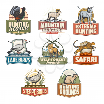Hunting open season icons of wild animals and birds for safari hunt adventure. Vector set of African panther cheetah or cougar leopard, pheasant grouse or fox and mountain goat, wolf or fox and sable