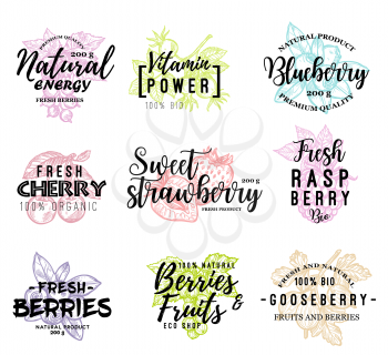 Berries lettering names of blueberry,cherry or strawberry and raspberry or gooseberry, red currant and briar. Vector calligraphy set for organic natural juice or bio jam and berry farm market design