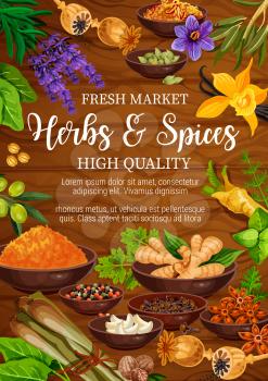 Herbs, seasoning and spices. Vector condiment. Pepper, basil and ginger, vanilla, nutmeg and dill, clove, lemongrass and cardamom, garlic and saffron, turmeric, poppy and lavender on wooden background