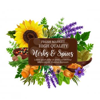 Herbs and spices with aroma plant, seed, flower and roots. Pepper, mint and rosemary, nutmeg, ginger and parsley, dill, bay leaf and saffron, lavender and poppy. Food condiments and seasonings