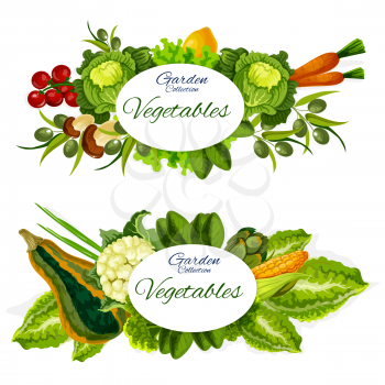 Vegetables and organic vegan food, farm veggies and mushroom. Tomato, carrot and cabbage, lettuce salad leaves, olives and corn, pumpkin, cauliflower and artichoke. Agriculture and farming vector
