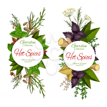 Herbs and spices, seasonings icons, grocery store. Cardamom and ginger, parsley and dill, basil and melissa, sage and anise. Vector natural condiments from garden, market products greens and greenery