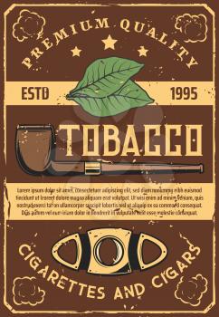 Tobacco leaves and smoking vintage pipe, Cuban cigar scissors, tool. Vector cigarettes and harmful habit, smoke clouds, smokers items and accessories. Organic dry plant, relaxation and inhalation