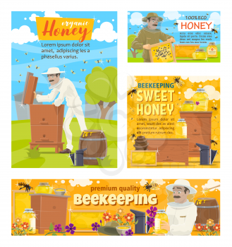Apiary beekeeping farm and beekeeper collecting honey in honeycombs from beehive. Vector cartoon posters of beekeeping and natural honey production
