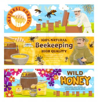 Beekeeping, apiary and beekeeper in protective suit. Man with honeycomb taking honey from beehive to jar or barrel with bees swarm flying around on beekeeping farm. Apiculture, vector