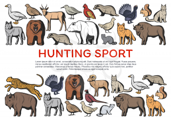 Hunting sport animals and birds vector banner of hunter club design. Wild bears, wolves and african jaguar, buffalo, antelope and bison, fox, goose and quail, ox, lynx and squirrel, grouse and badger