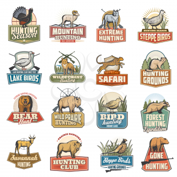 Hunting sport vector icons, wild animals, extreme and safari hunt. Blackcock and goat, wolf and grouse, goose and fox. Cheetah and marten, bear and buffalo, snipe and badger, gazelle and ox, pheasant